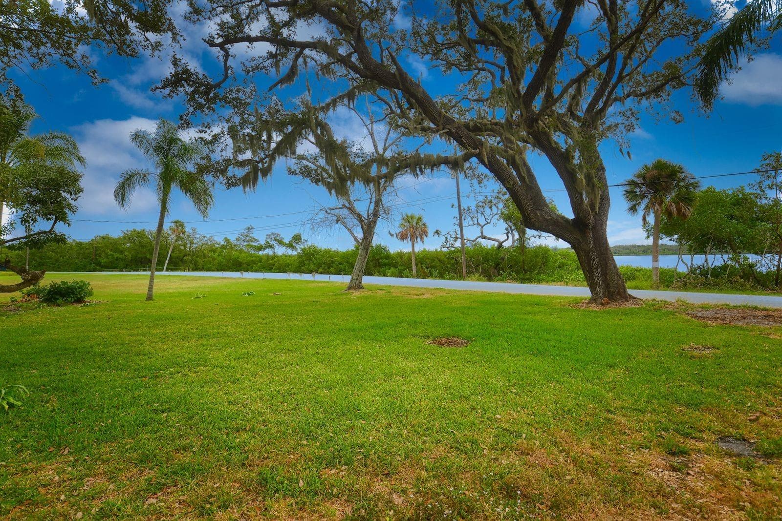 Huge Front Yard - 160 BAYSHORE DR, TERRA CEIA