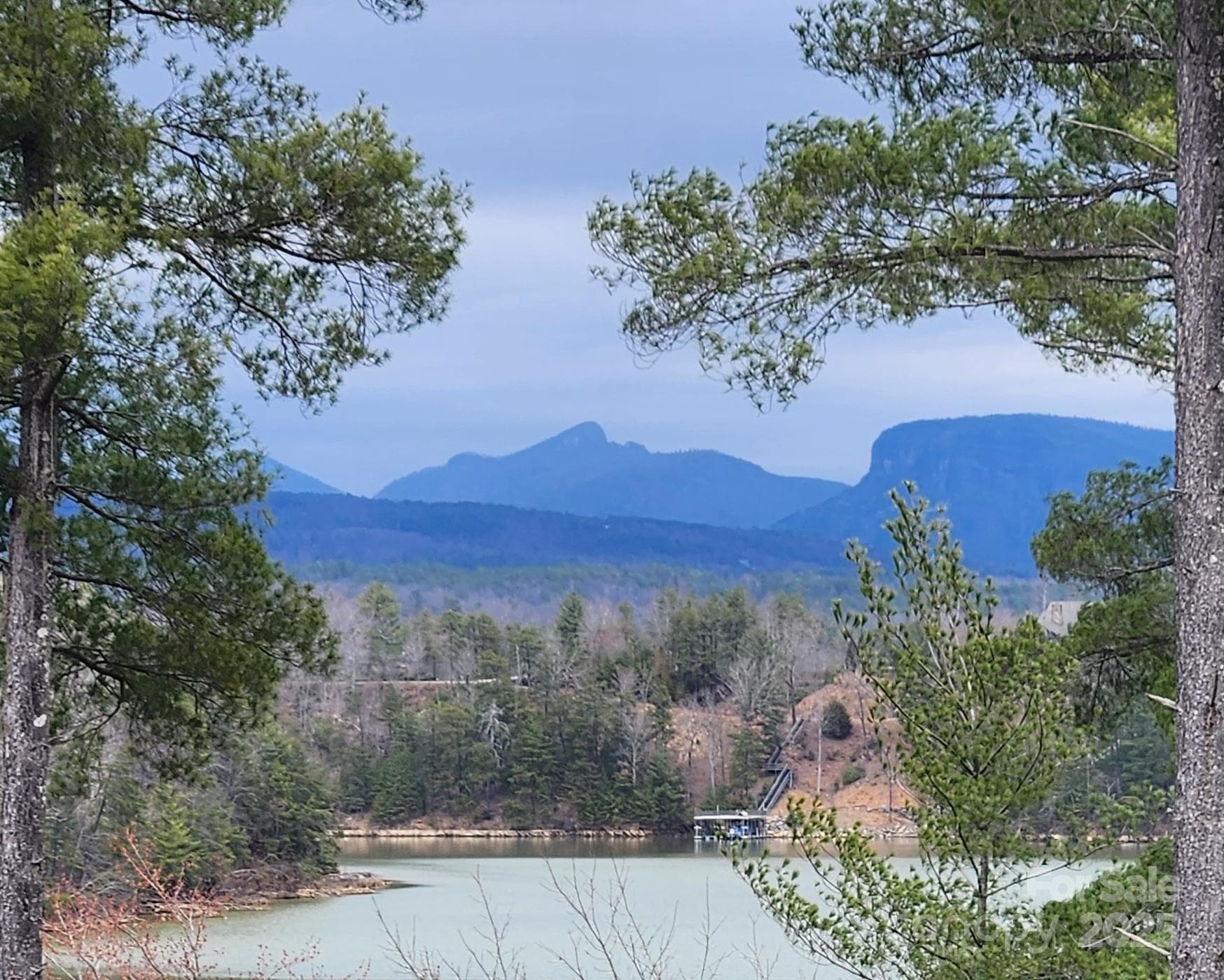 Close up of Grandfather Mountain - Nebo
