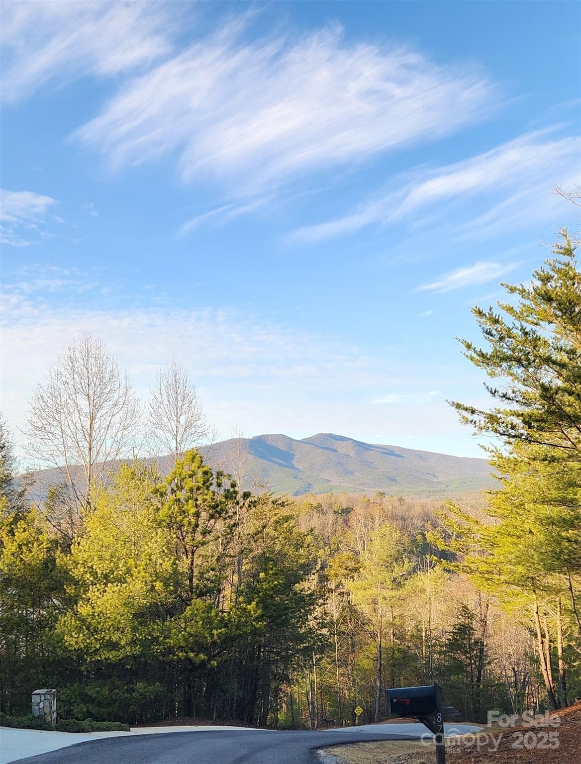 Dobsons Knob - Nebo