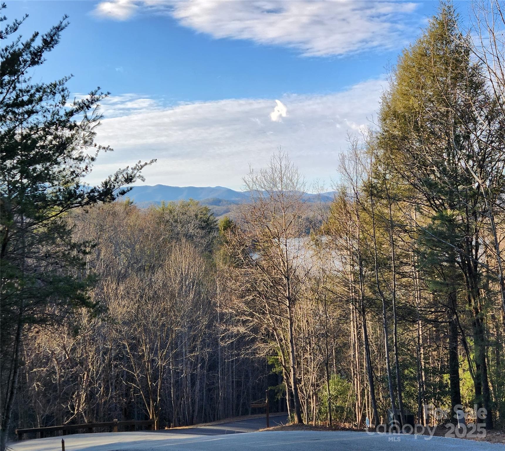 Lot at Nebo, photo 12 of 17