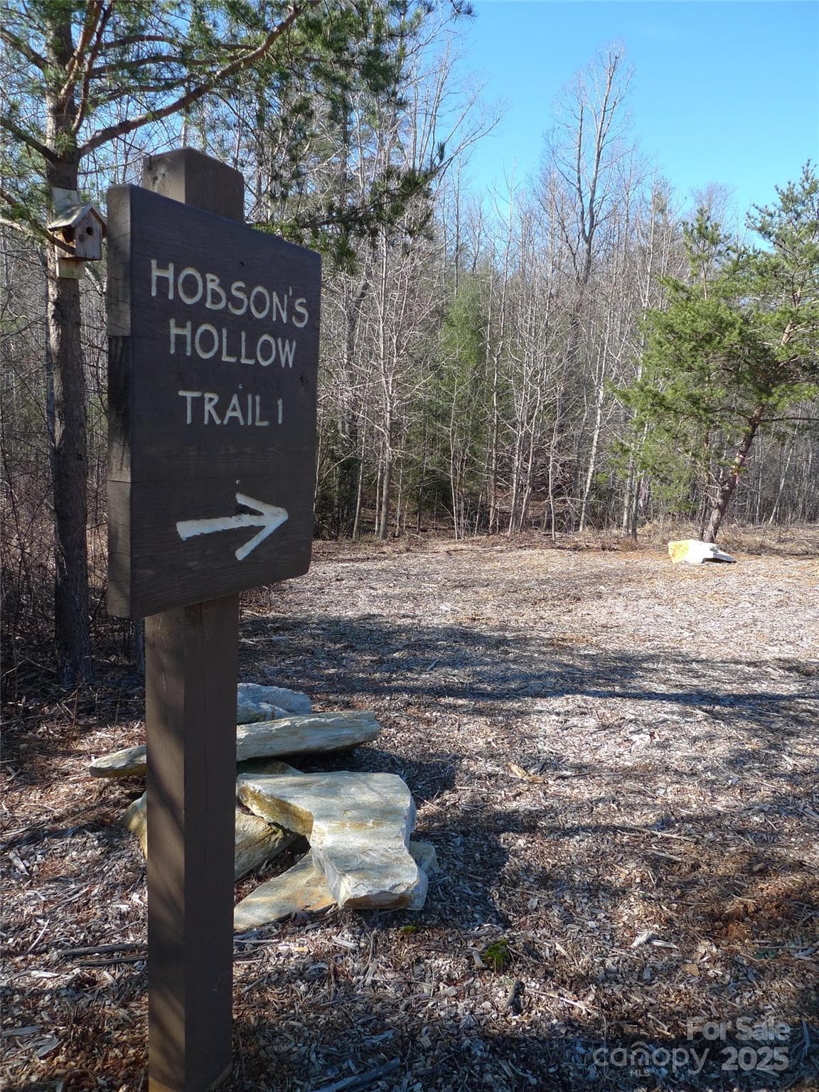 Walking trails - Nebo