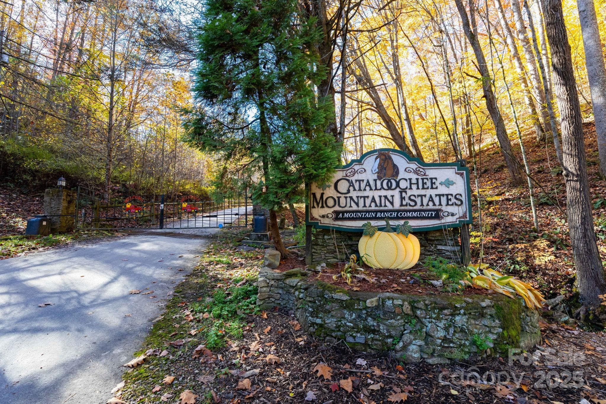 TBD Appaloosa Trail