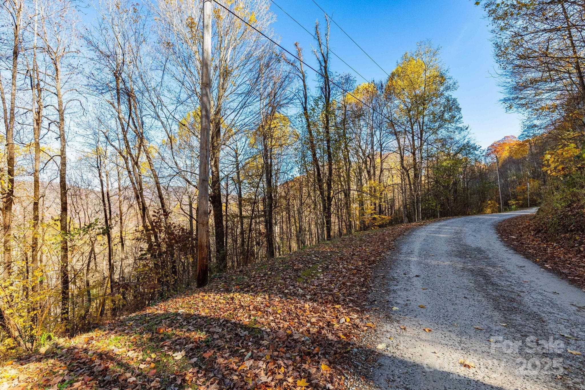 Lot to the left of the road. Steepest just off Appaloosa, level area is below, off of Bridle Trail - Waynesville
