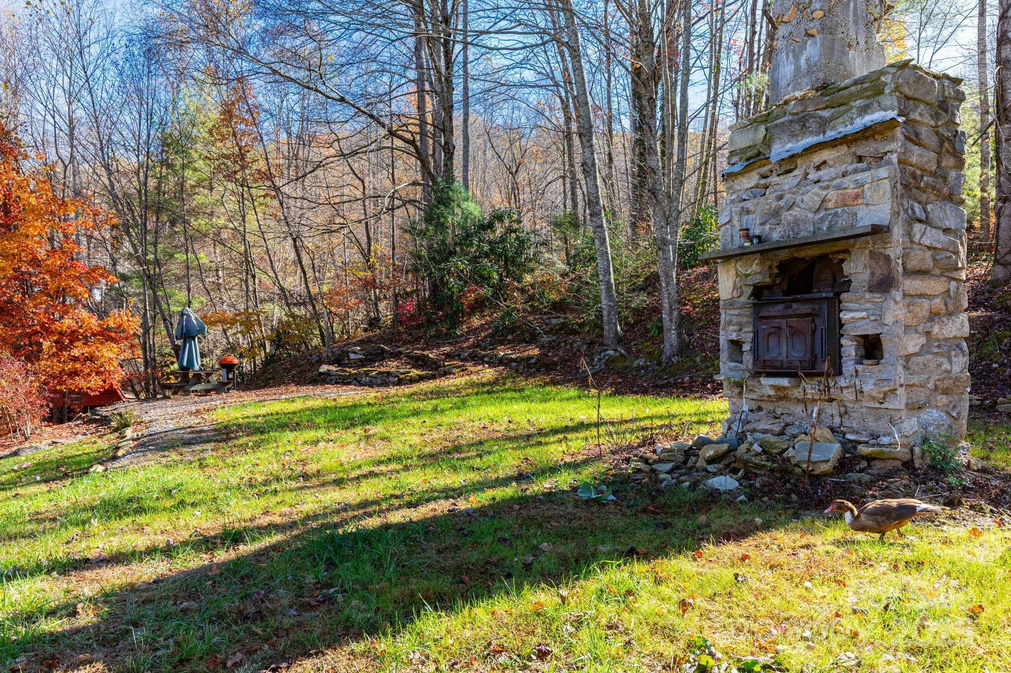 Old farmhouse chimney in common area - Waynesville