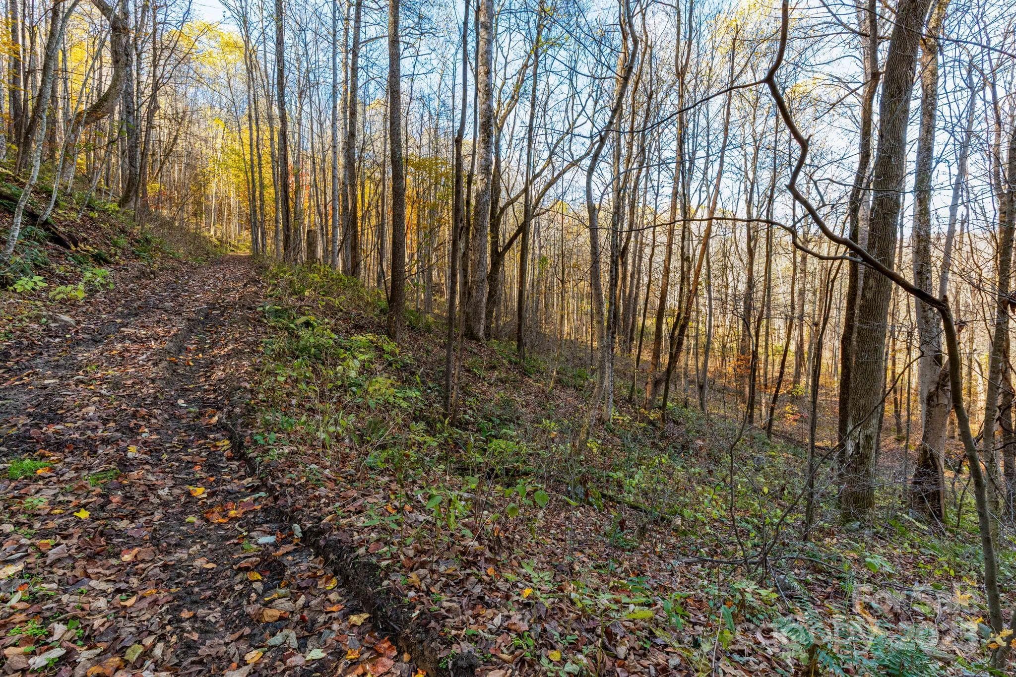 View of Bridle Trail - Waynesville