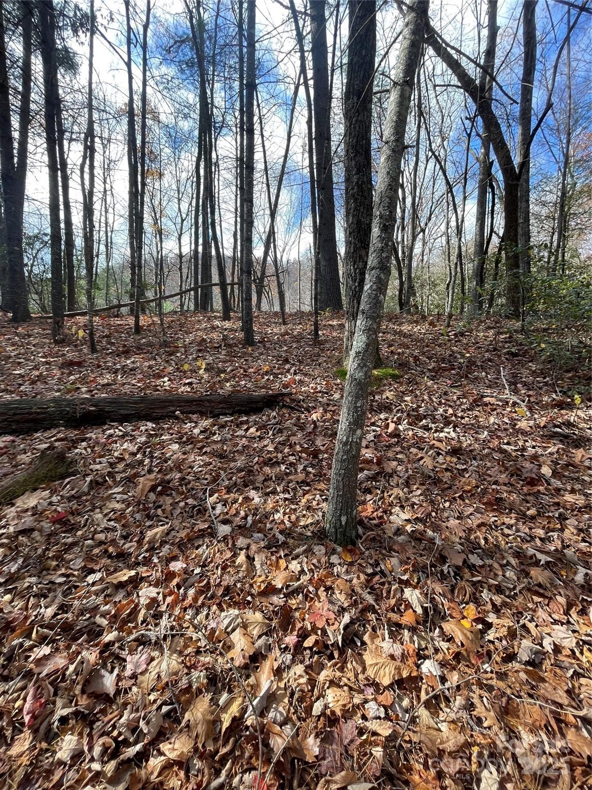 Lot at 00 Pinnacle Falls Lane, Zirconia, photo 7 of 10