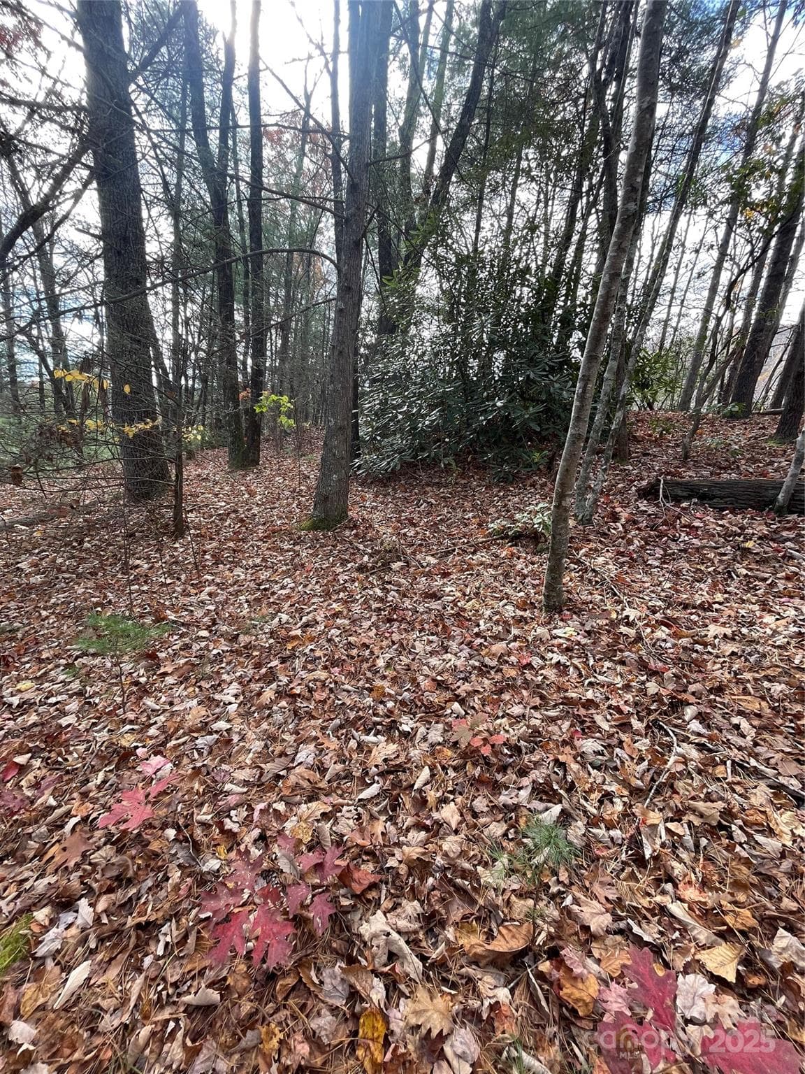 Lot at 00 Pinnacle Falls Lane, Zirconia, photo 9 of 10
