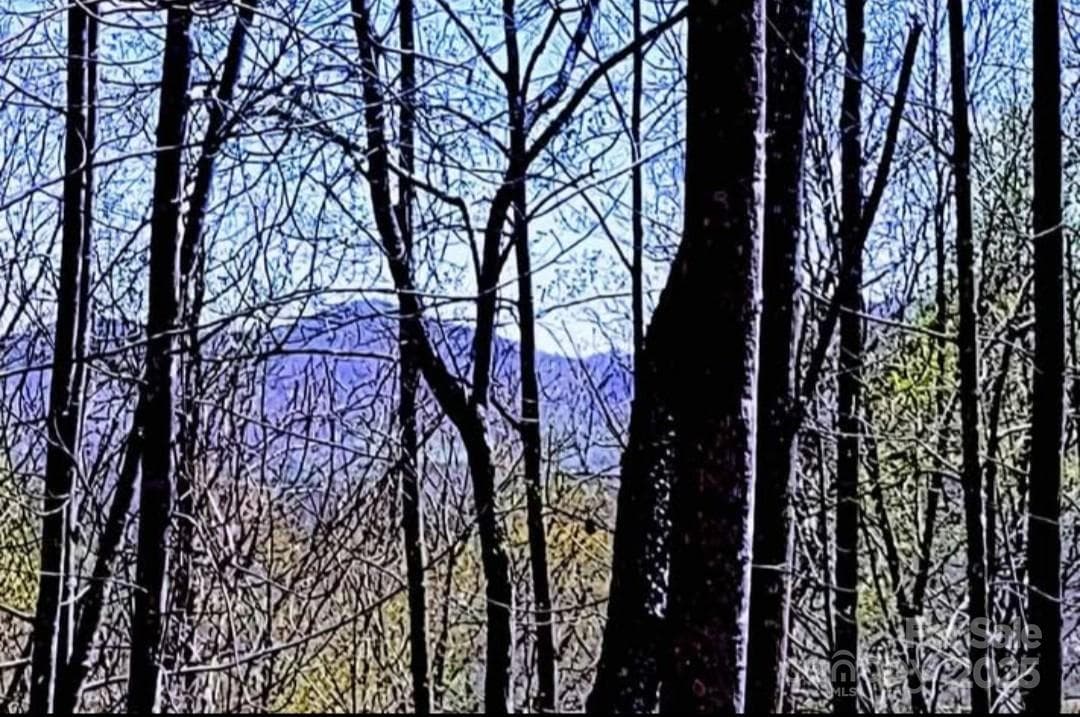 Lot at 153 Westridge Drive, Bostic, photo 2 of 14