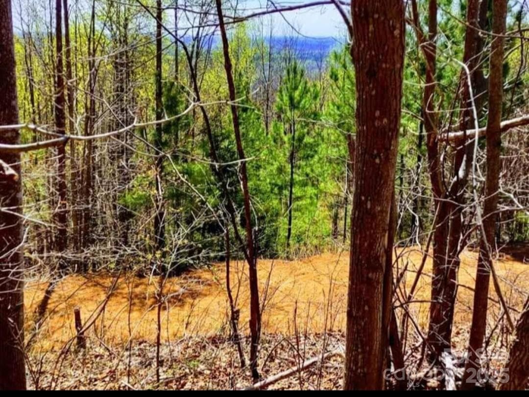 Lot at 153 Westridge Drive, Bostic, photo 5 of 14