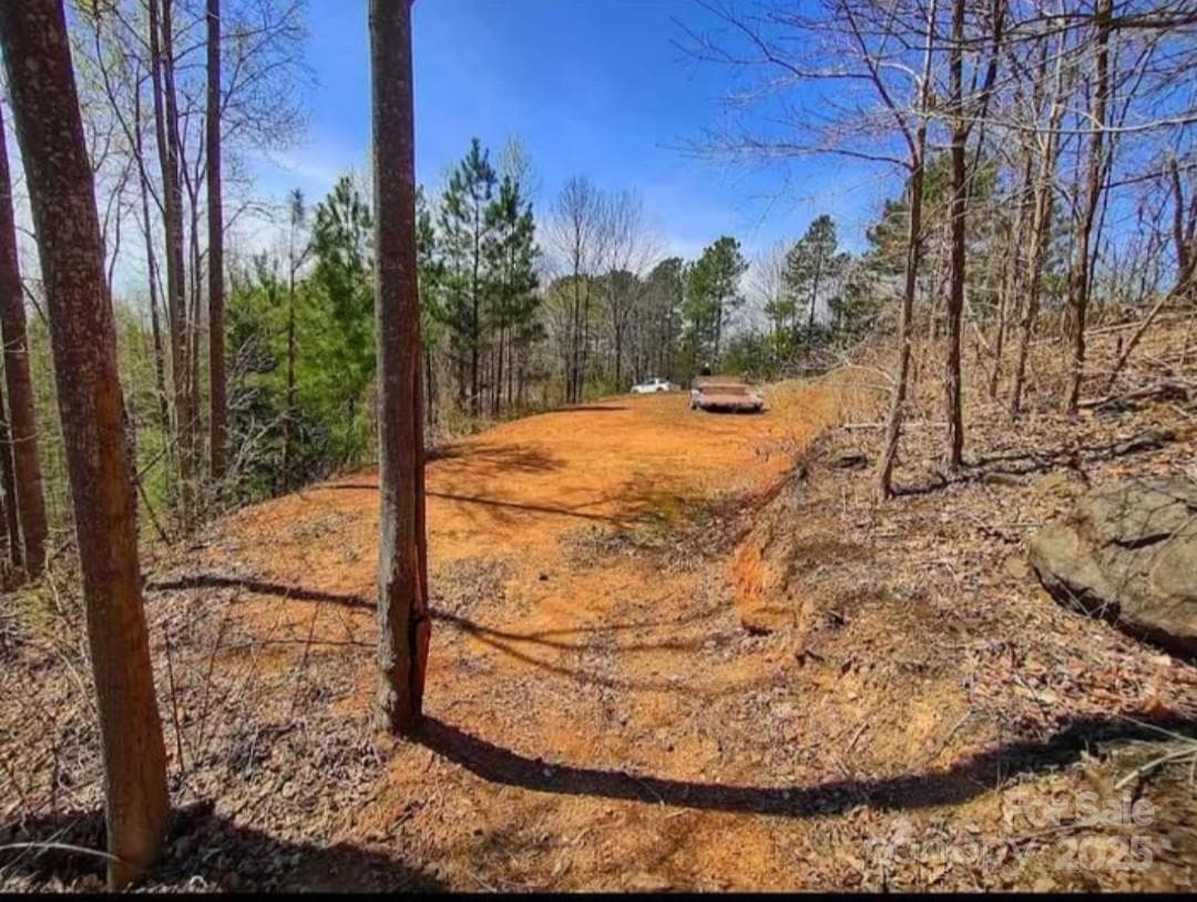 Lot at 153 Westridge Drive, Bostic, photo 6 of 14