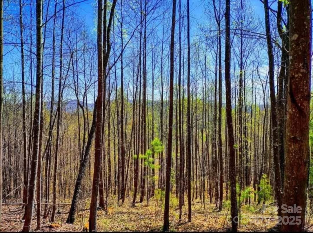 Lot at 153 Westridge Drive, Bostic, photo 7 of 14