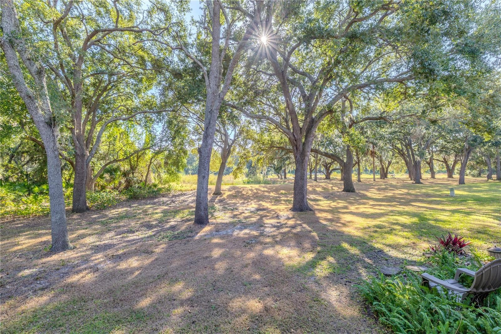 Backyard - 2432 LAKE WOODBERRY CIR, BRANDON