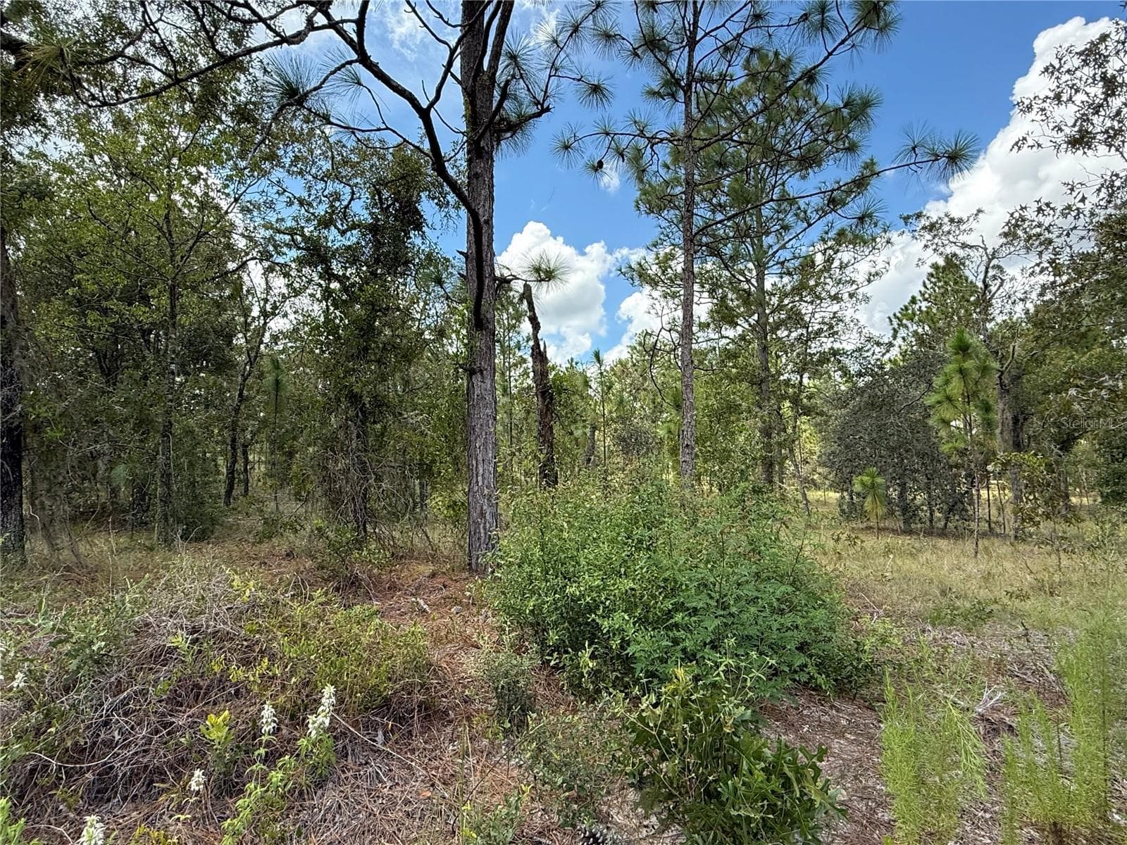 DEER PARK HEIGHTS SW