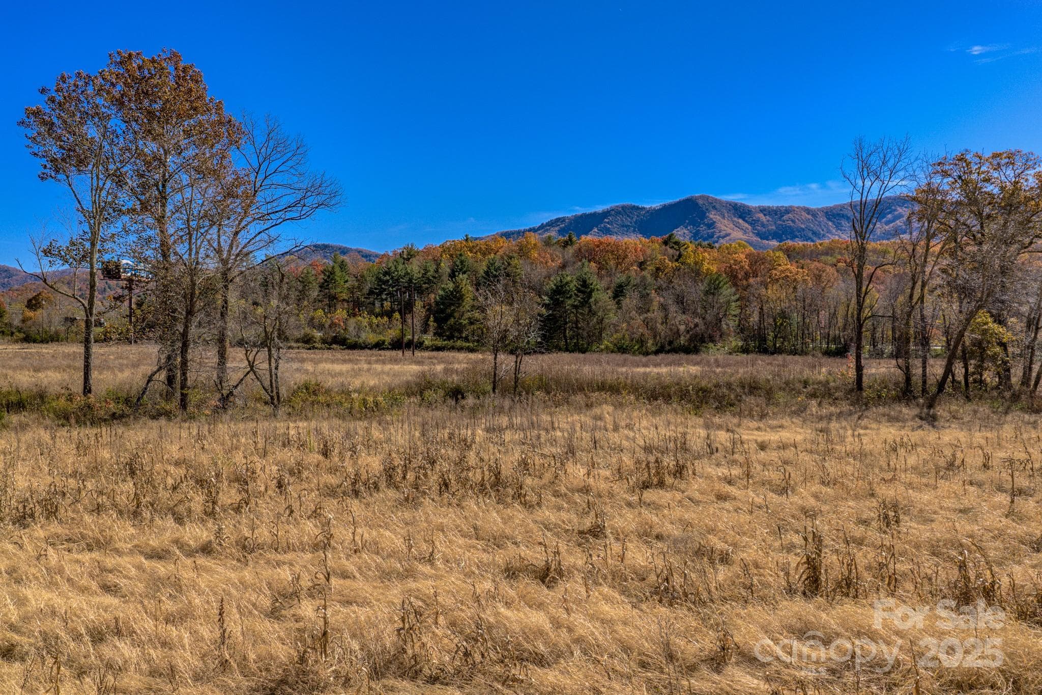 Unimproved Commercial at Black Mountain, photo 6 of 6