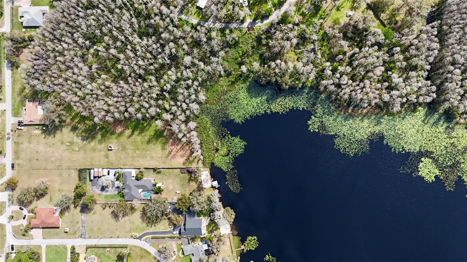 Lake Virginia - 19218 BLOUNT RD, LUTZ