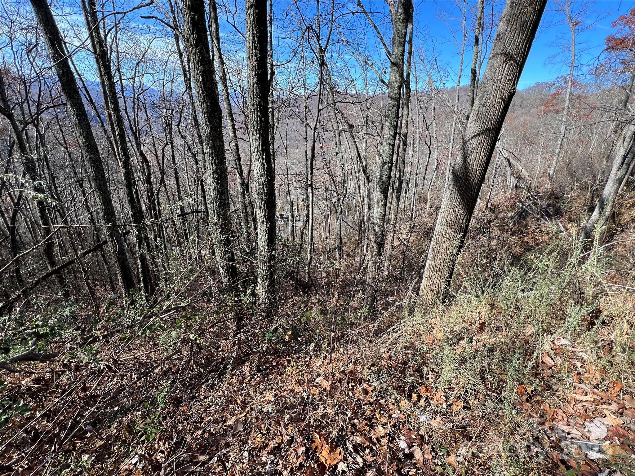 Lot at Lot 8 Falls View Drive, Bryson City, photo 2 of 14