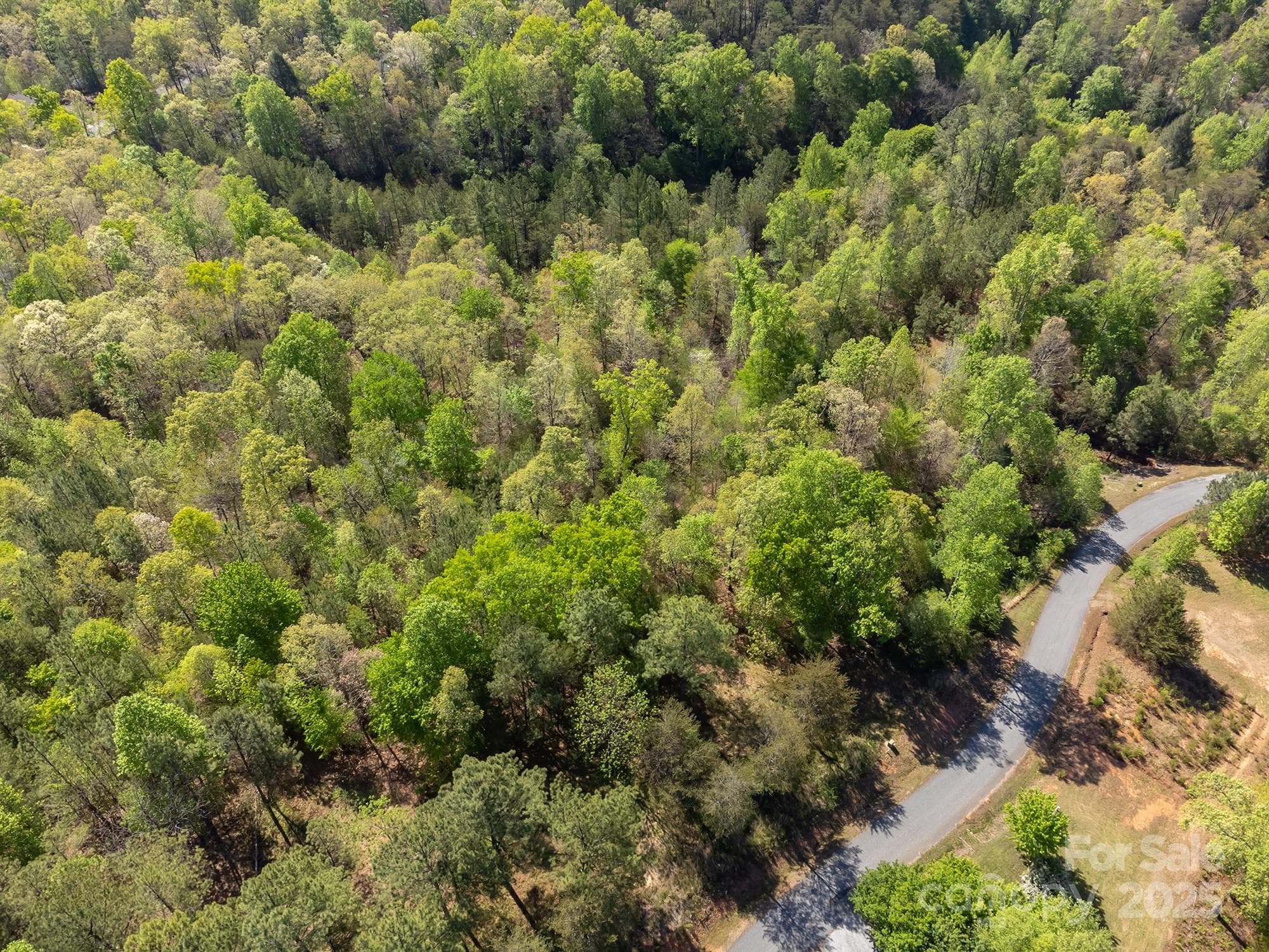Lot at V/L Easy Street, Lake Lure, photo 12 of 34