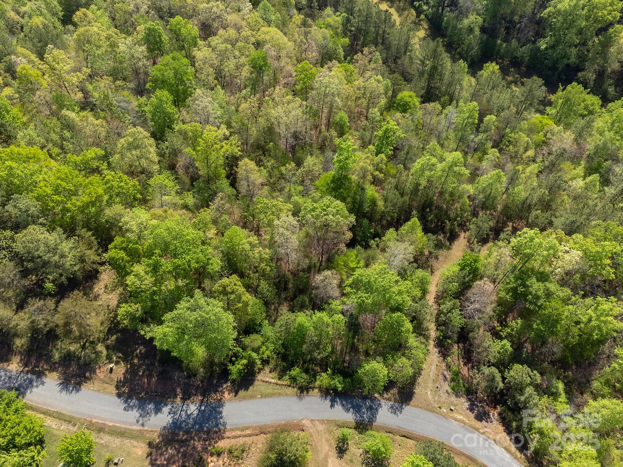 Lot at V/L Easy Street, Lake Lure, photo 14 of 34