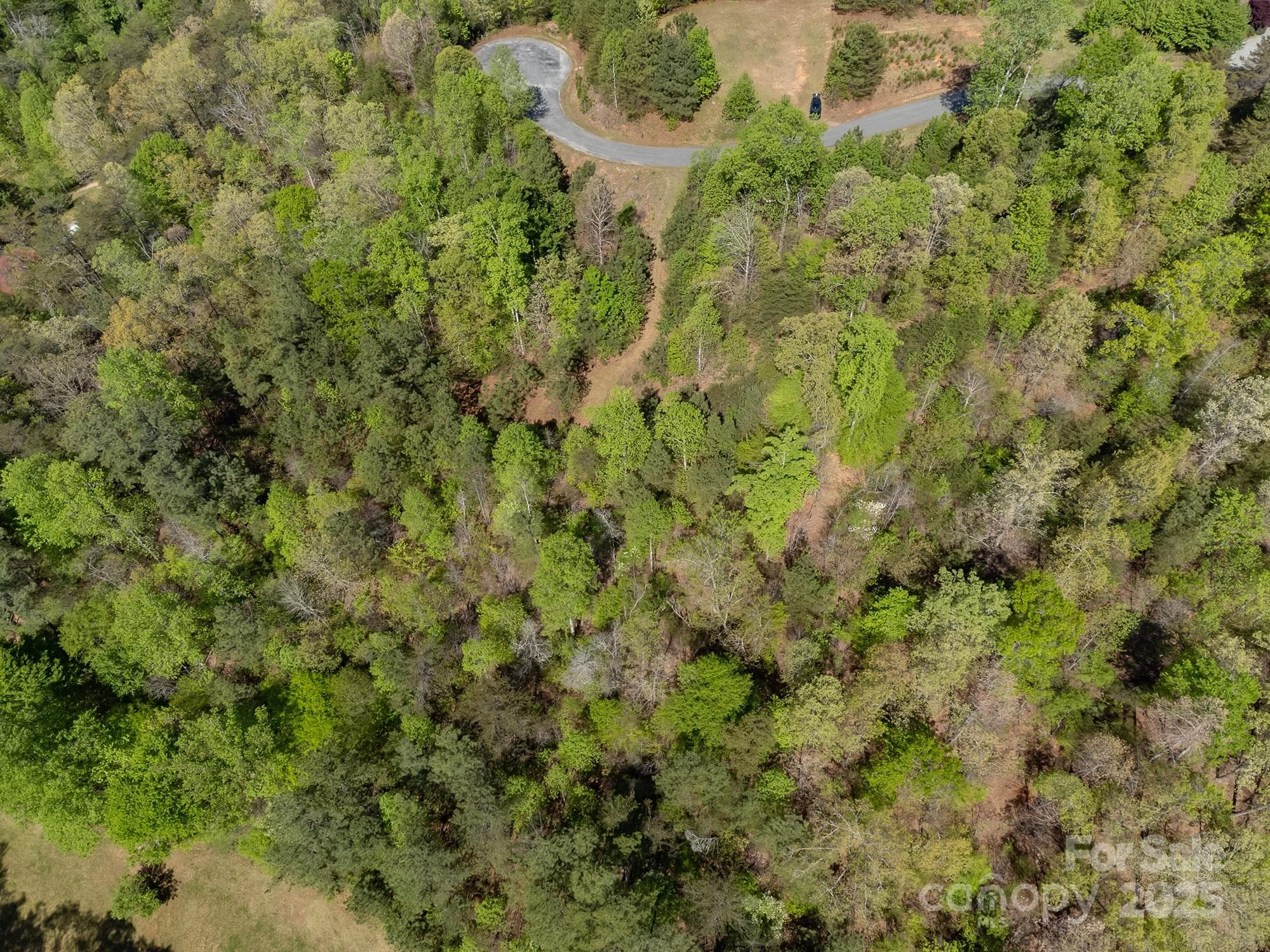 Lot at V/L Easy Street, Lake Lure, photo 15 of 34