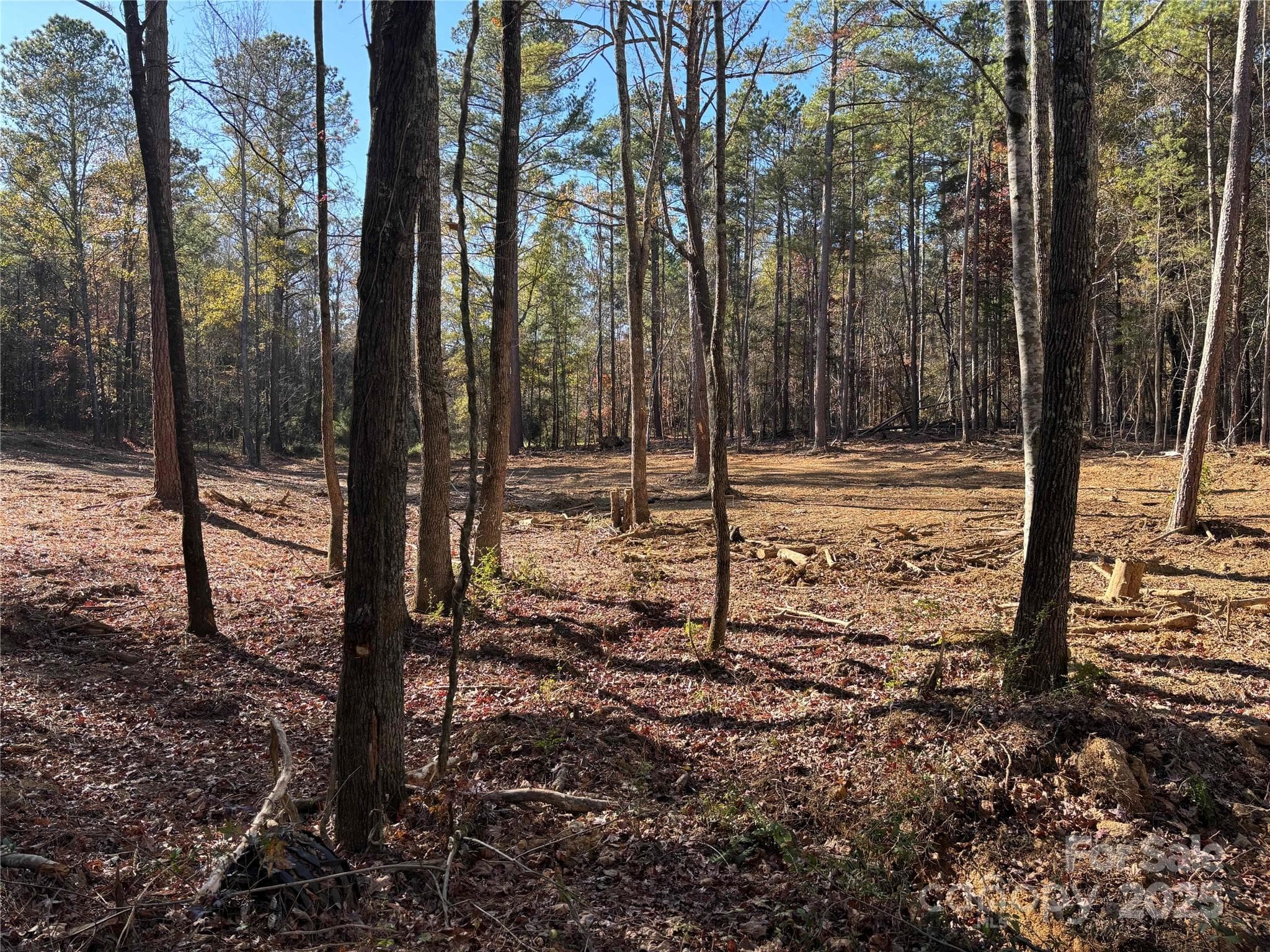Lot at Lancaster, photo 3 of 4