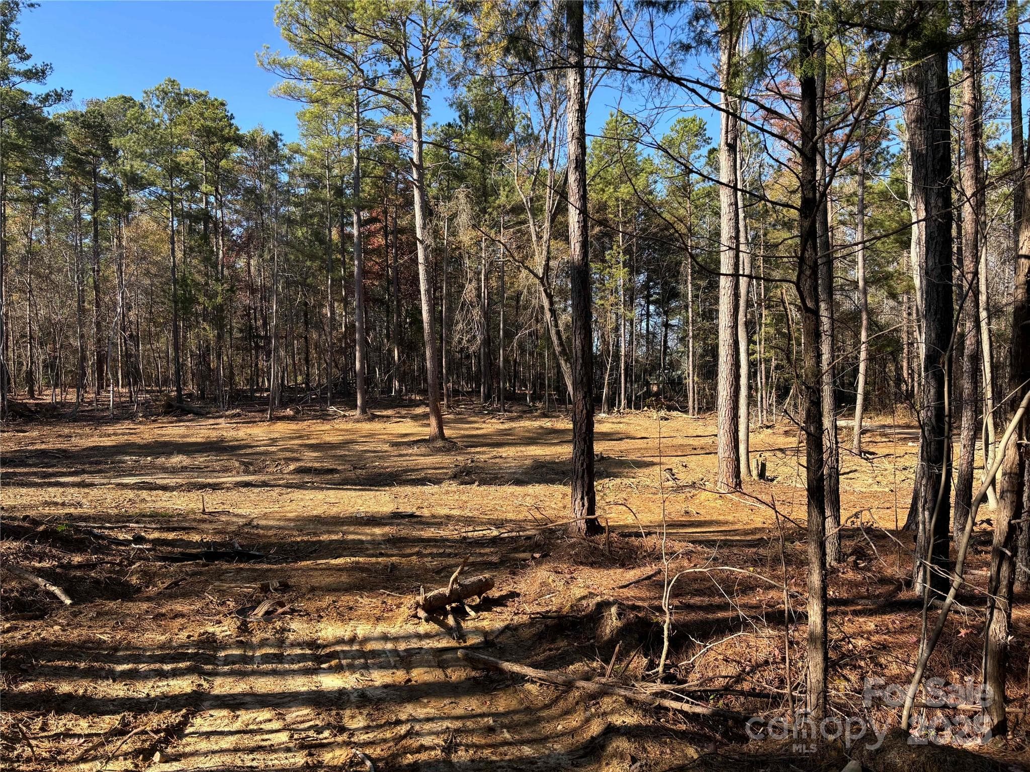 Lot at Lancaster, photo 4 of 4
