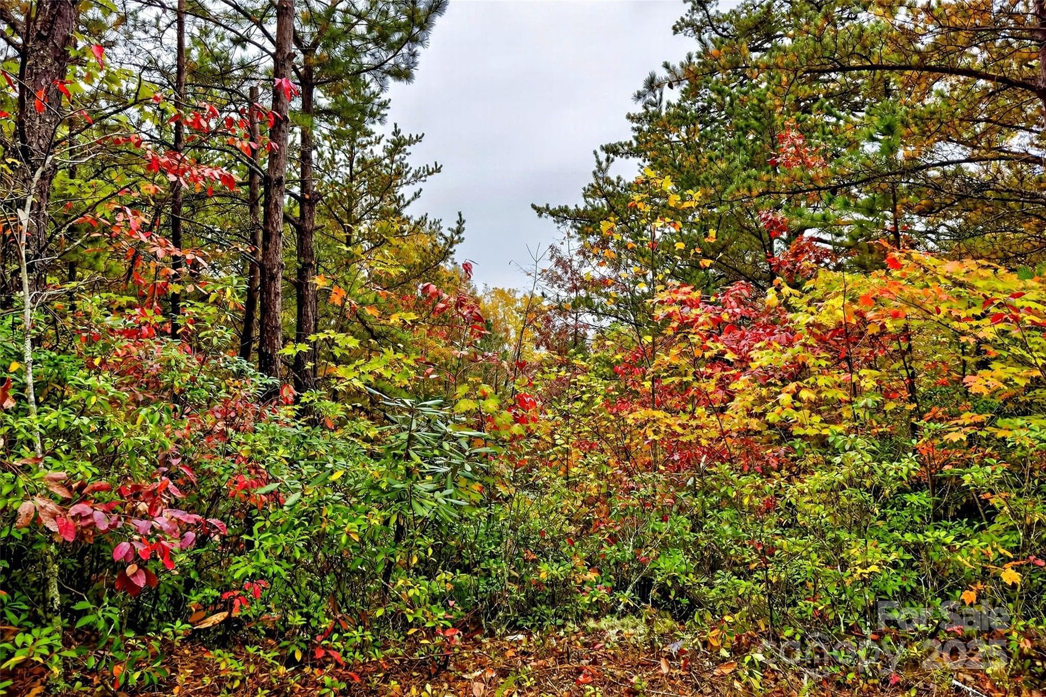 Lot at Old Fort, photo 42 of 48