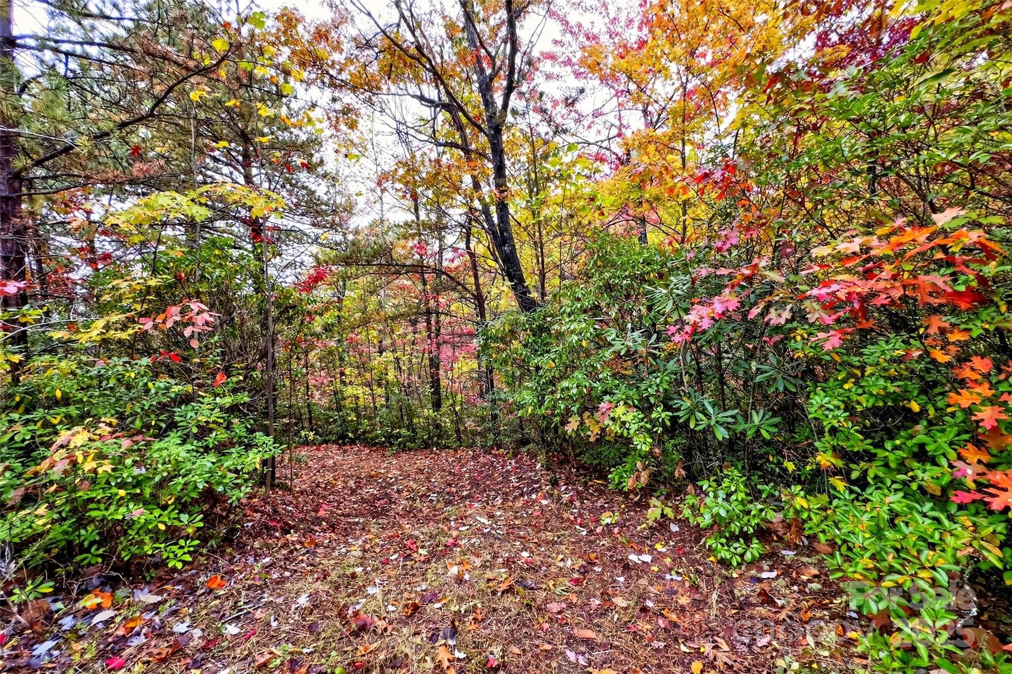 Lot at Old Fort, photo 43 of 48