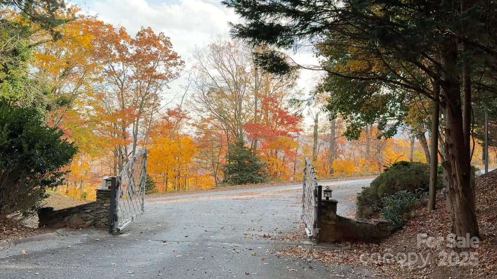 Lot at 630 Melrose Mountain Road, Tryon, photo 2 of 18
