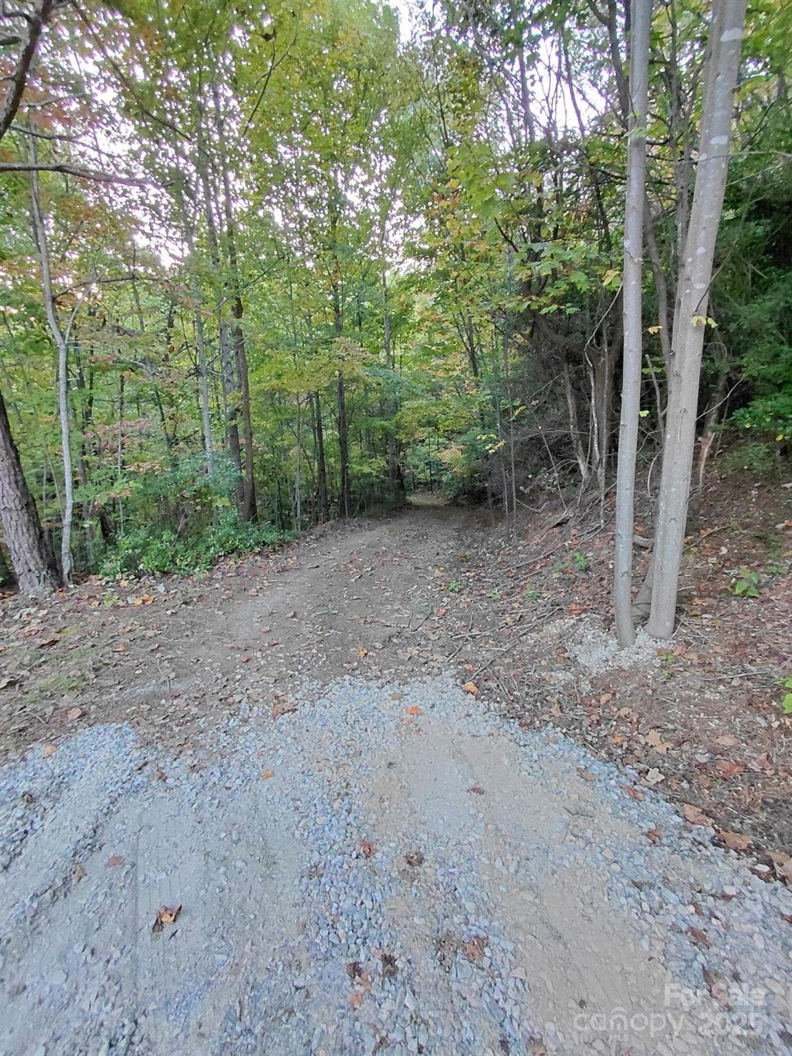 Beginning of driveway at the end of Sassafrass - Old Fort
