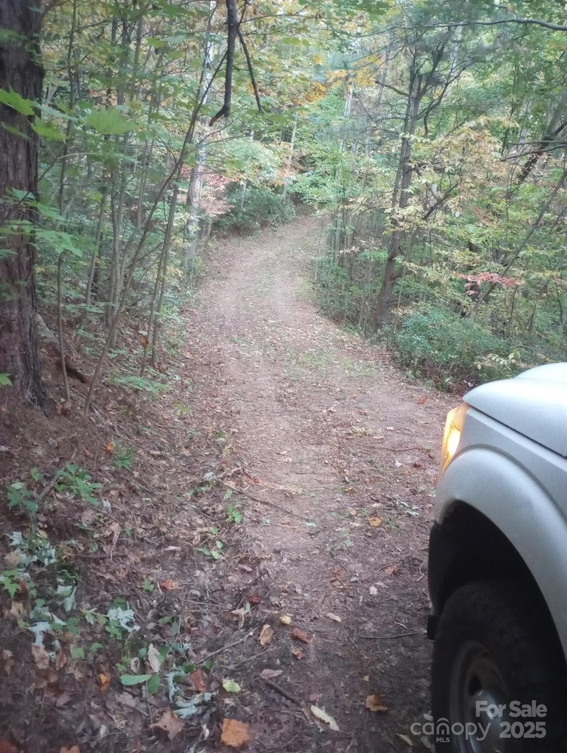 Road in great shape! - Old Fort