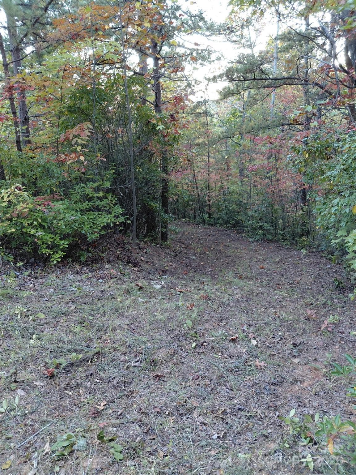 Beautiful hardwoods on the property. - Old Fort