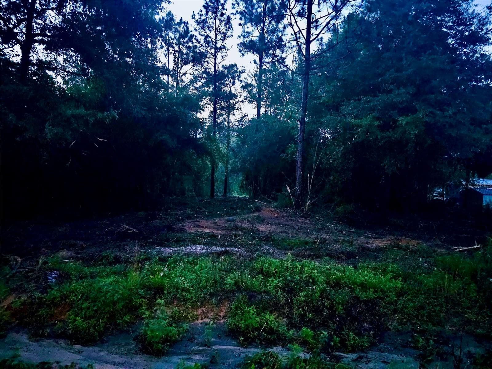 Land at PINETREE LN, DEFUNIAK SPRINGS, photo 16 of 40