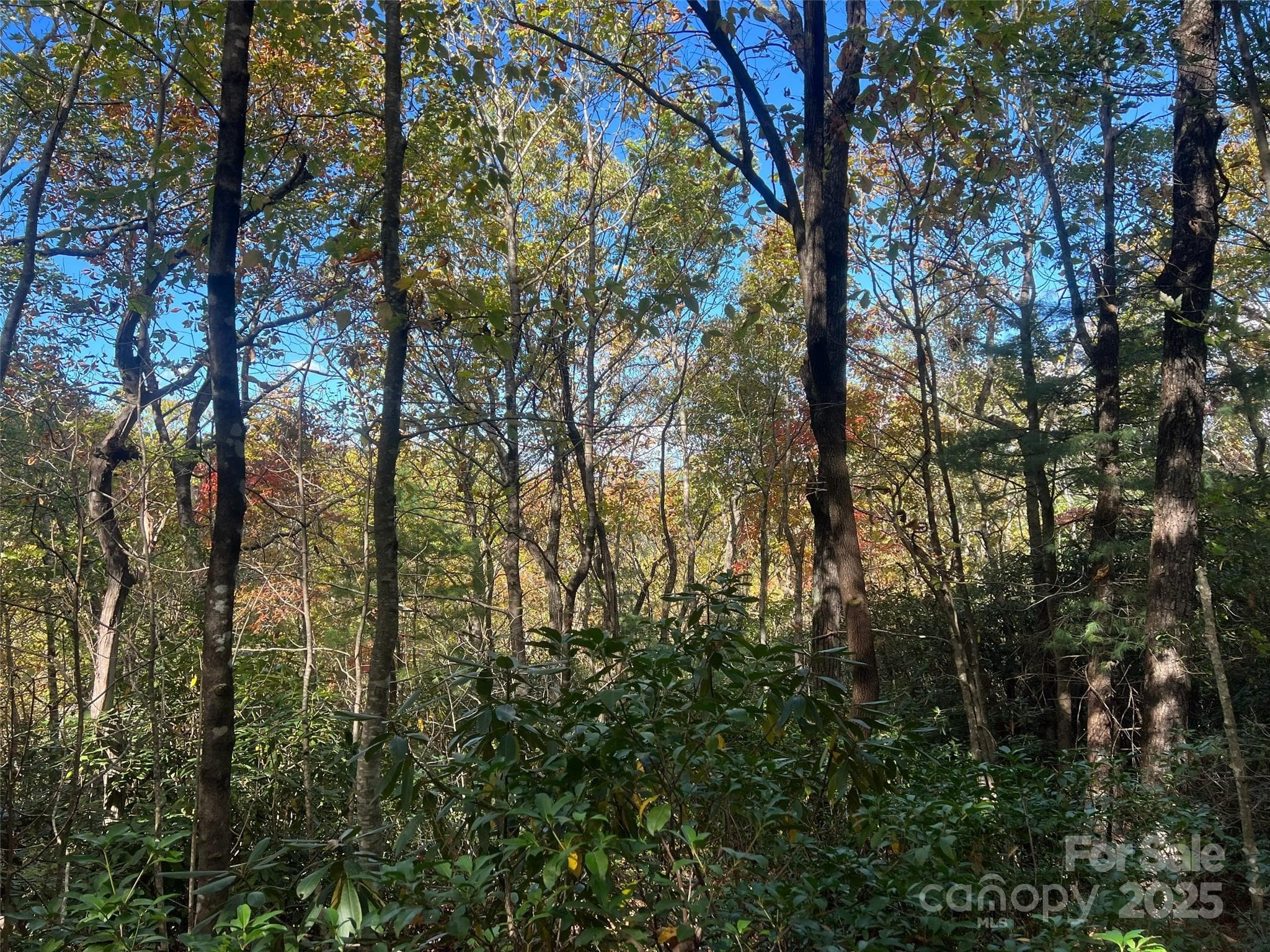 Lot at 0 Wild Magnolia Way, Zirconia, photo 9 of 13