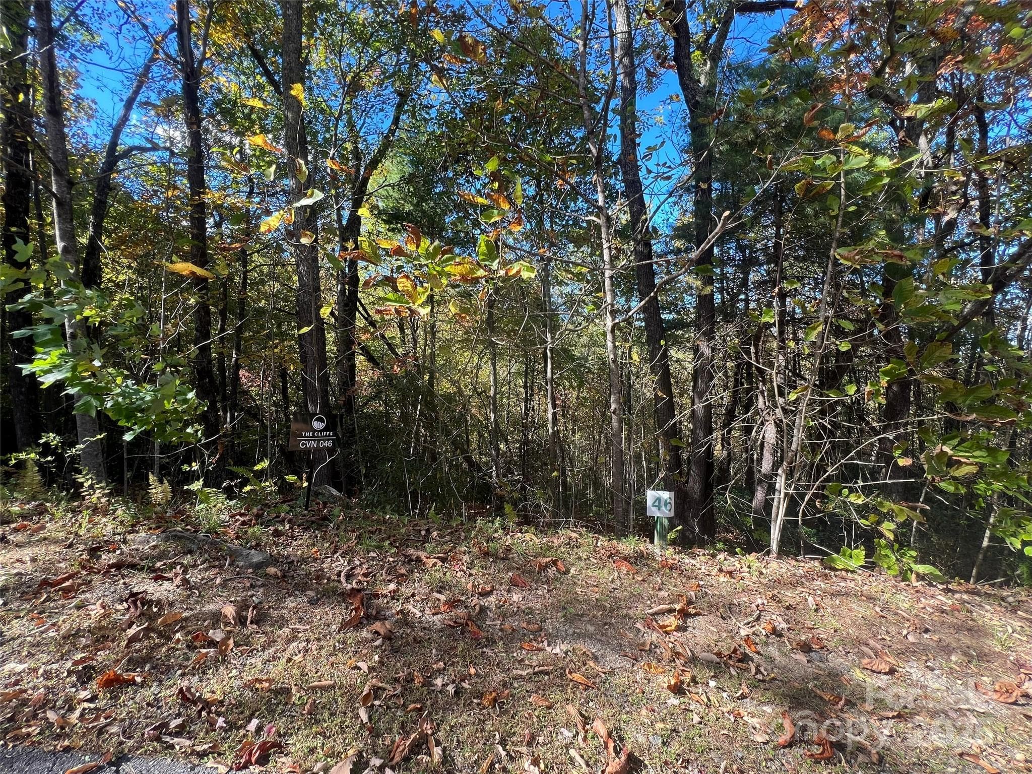 Lot at 0 Wild Magnolia Way, Zirconia, photo 11 of 13