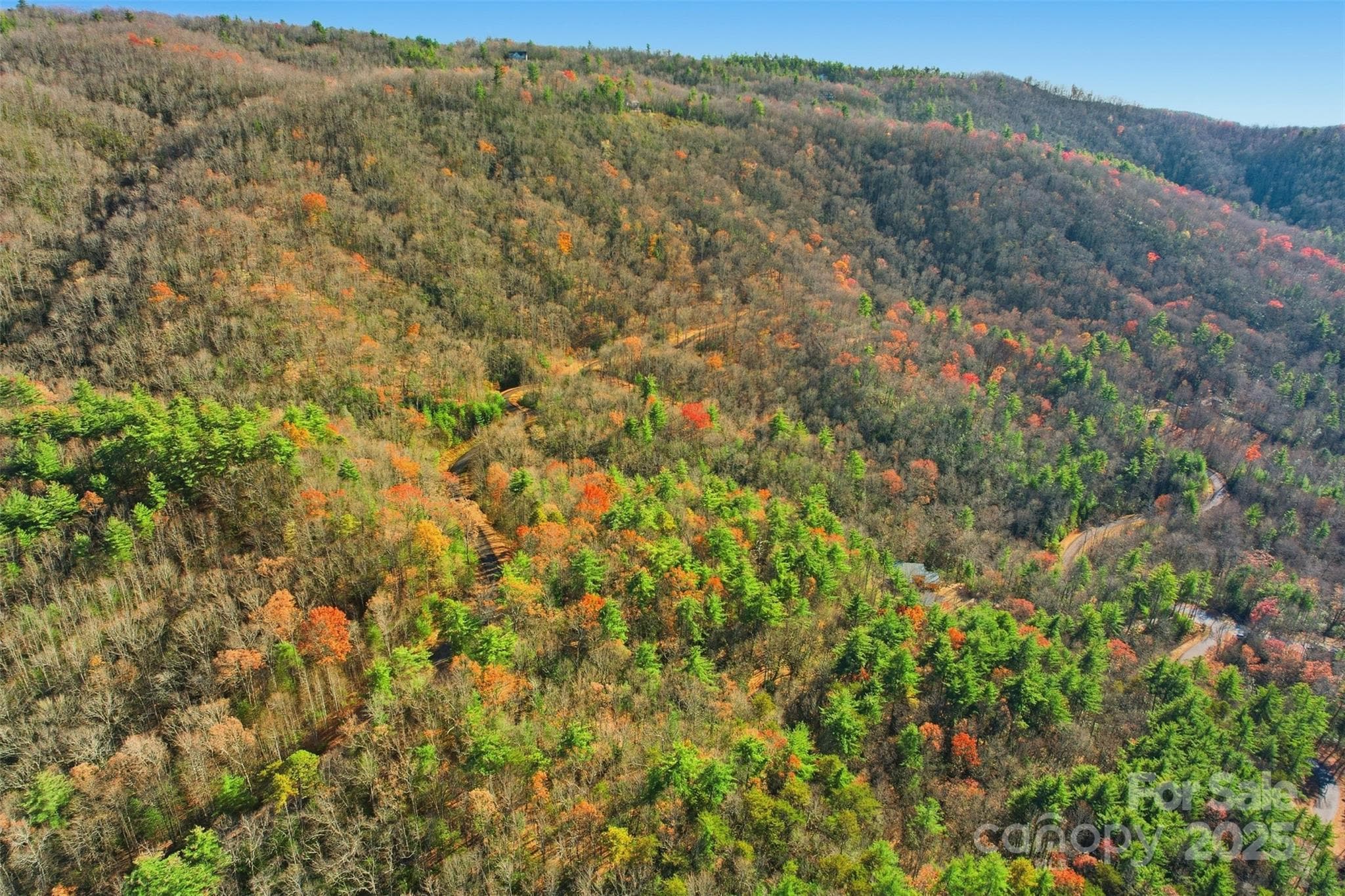 Lot at Lot 75 Peppervine Circle, Rosman, photo 4 of 28