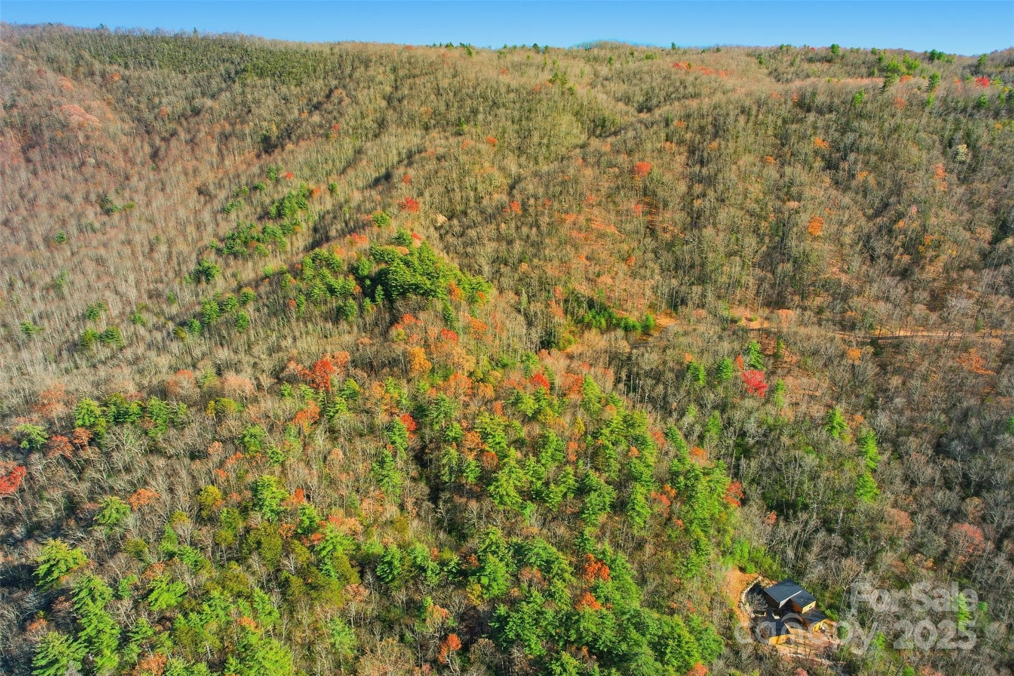 Lot at Lot 75 Peppervine Circle, Rosman, photo 6 of 28