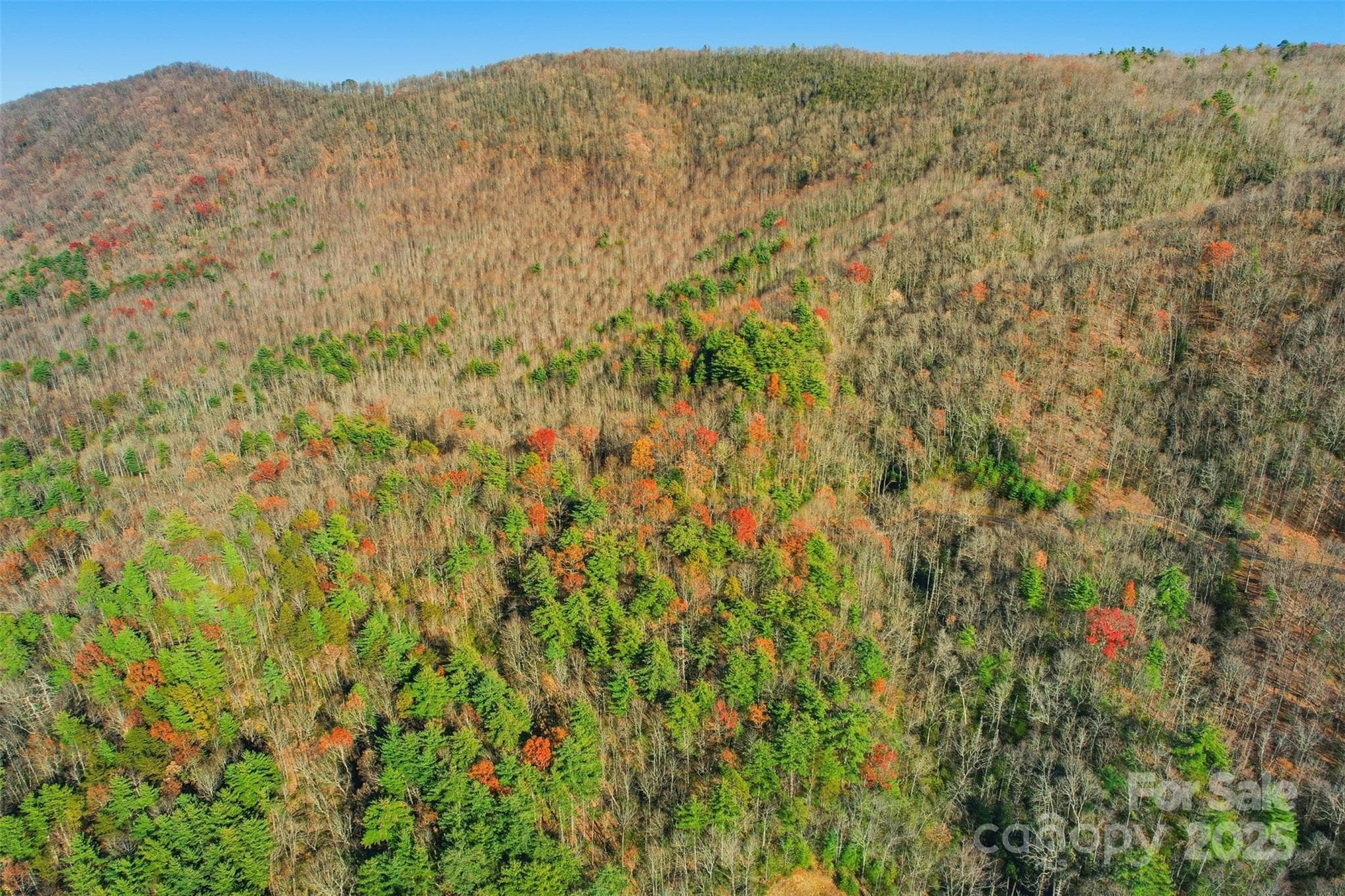 Lot at Lot 75 Peppervine Circle, Rosman, photo 7 of 28