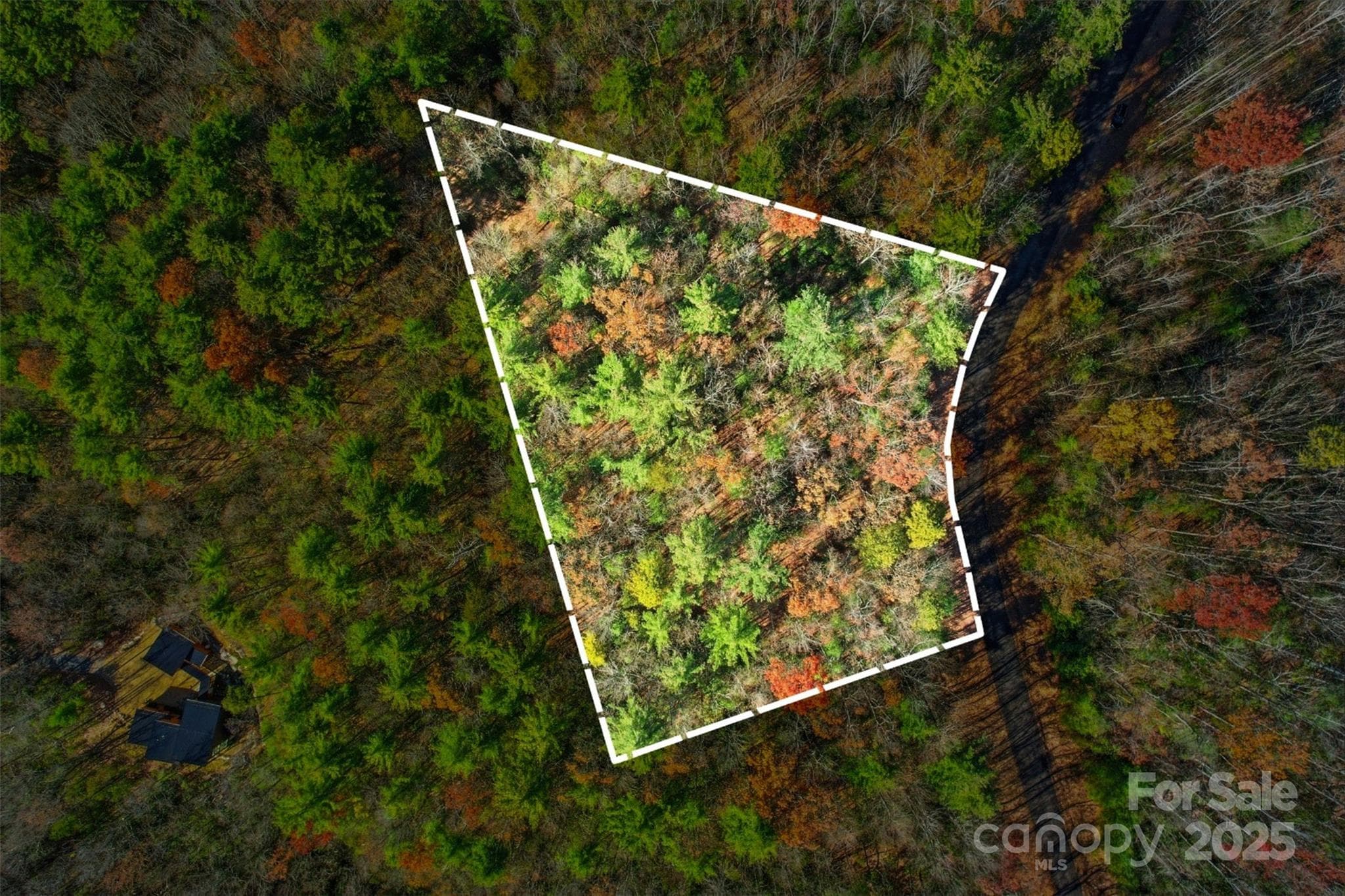 Lot at Lot 75 Peppervine Circle, Rosman, photo 9 of 28