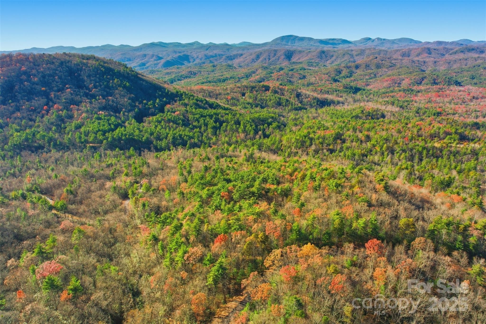 Lot at Lot 75 Peppervine Circle, Rosman, photo 11 of 28