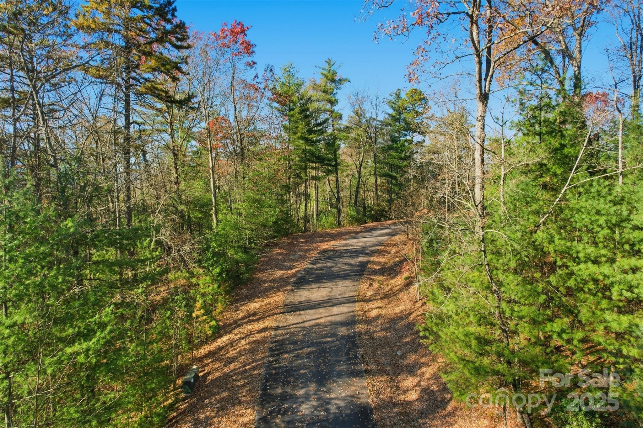 Lot at Lot 75 Peppervine Circle, Rosman, photo 12 of 28