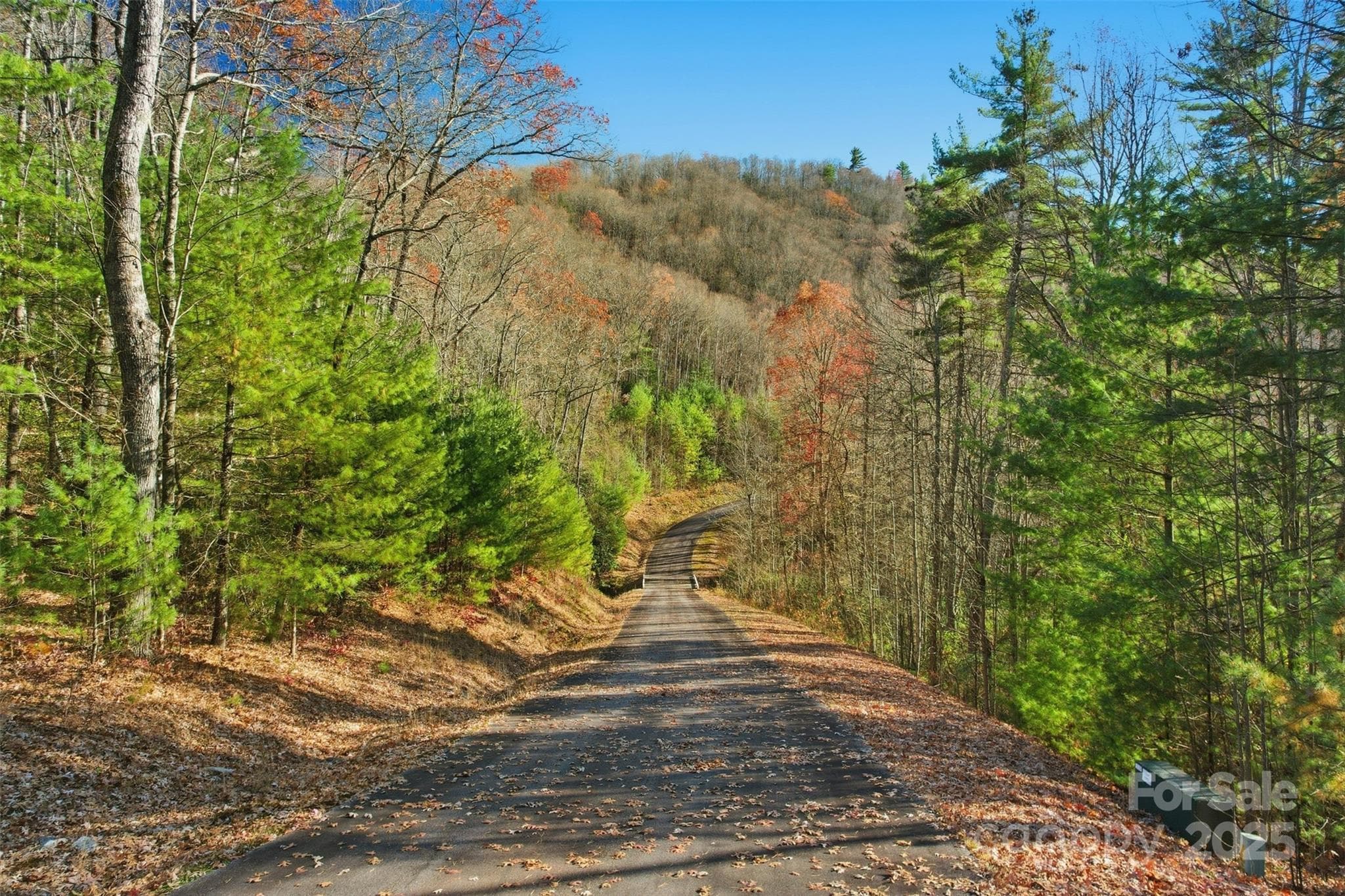 Lot at Lot 75 Peppervine Circle, Rosman, photo 13 of 28