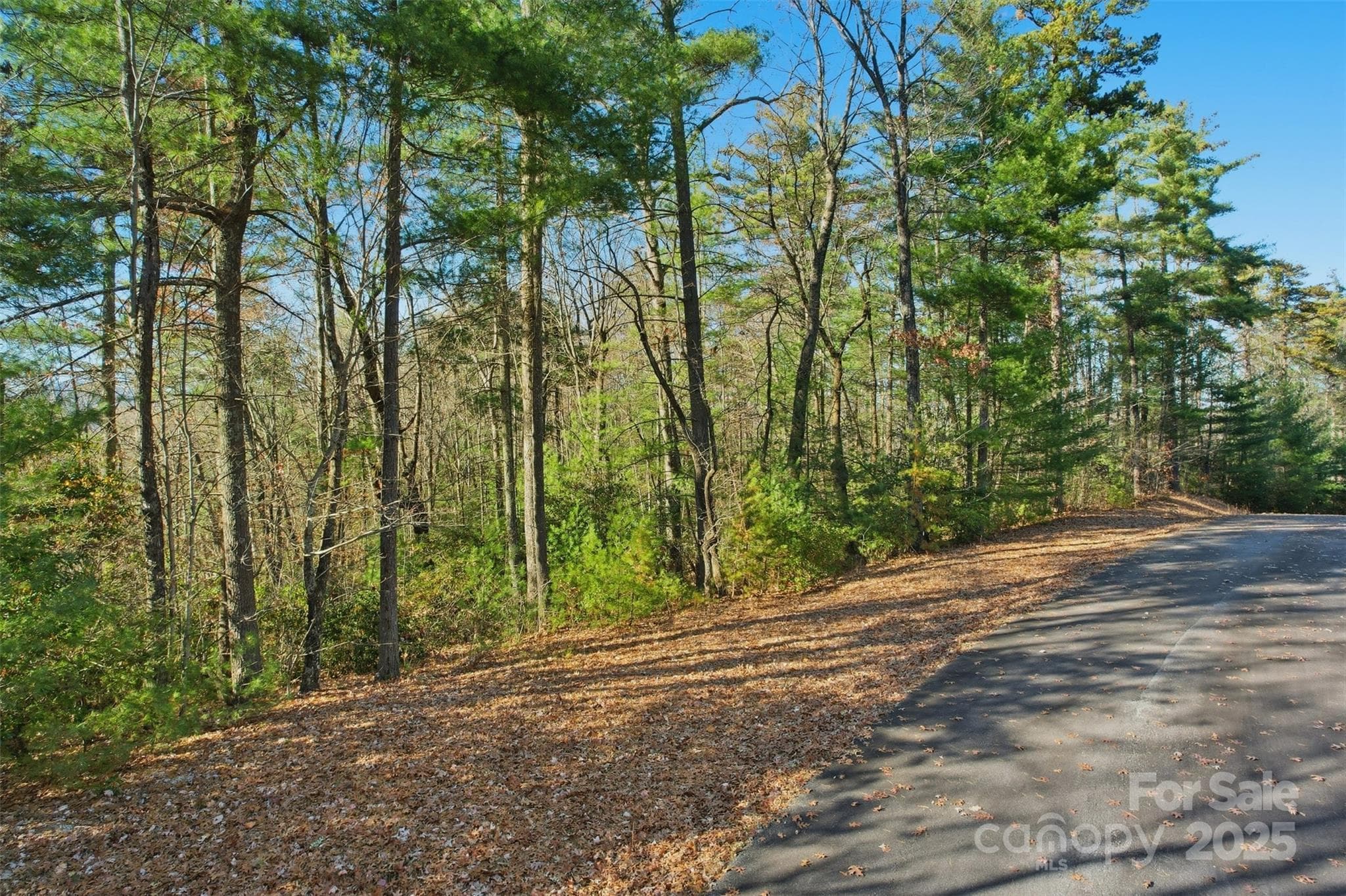 Lot at Lot 75 Peppervine Circle, Rosman, photo 14 of 28