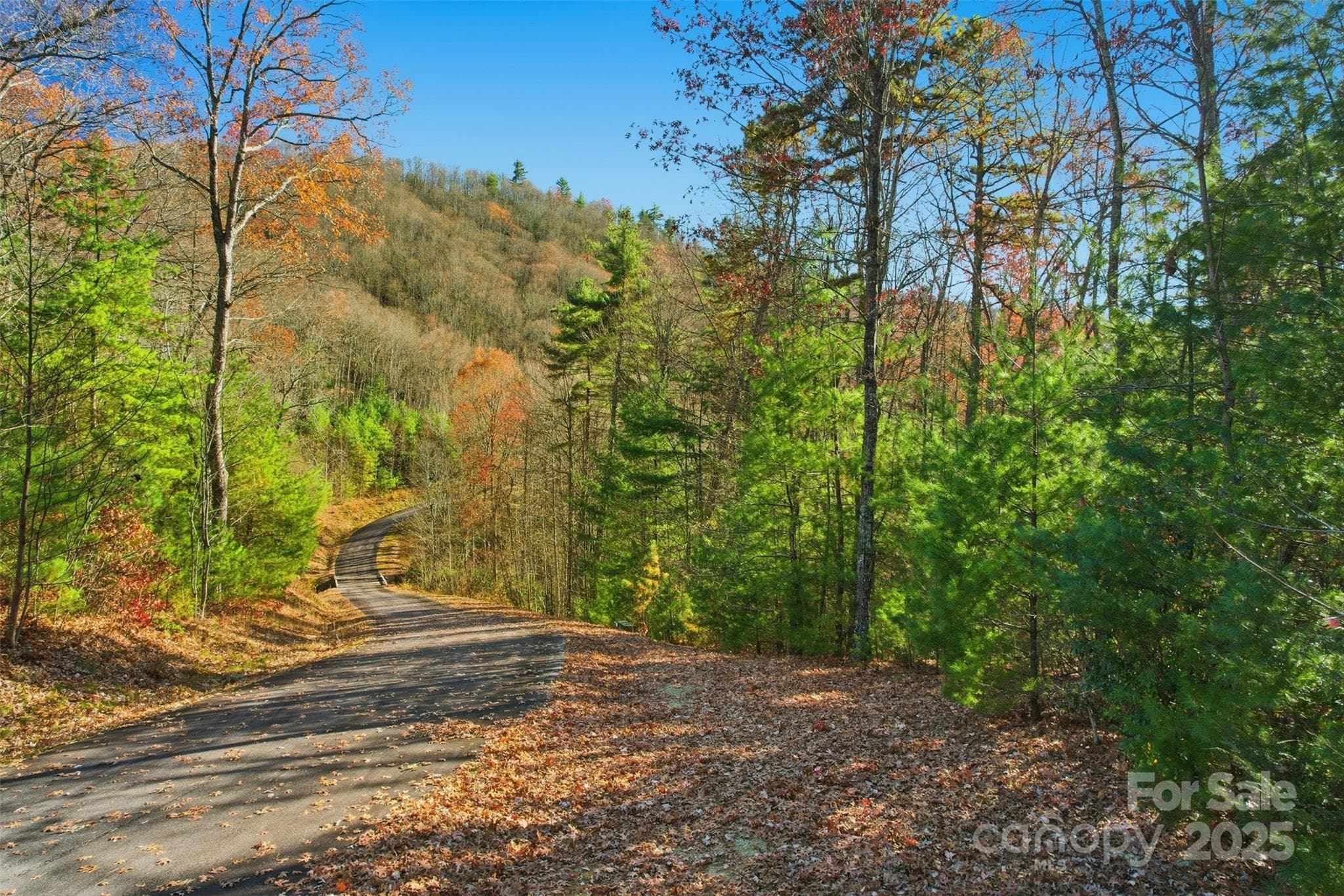 Lot at Lot 75 Peppervine Circle, Rosman, photo 15 of 28