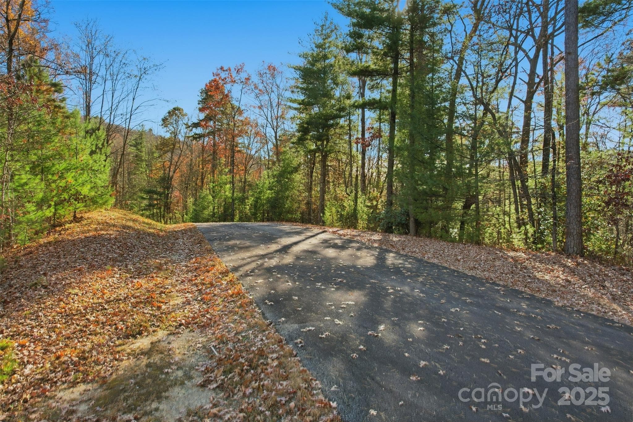 Lot at Lot 75 Peppervine Circle, Rosman, photo 16 of 28