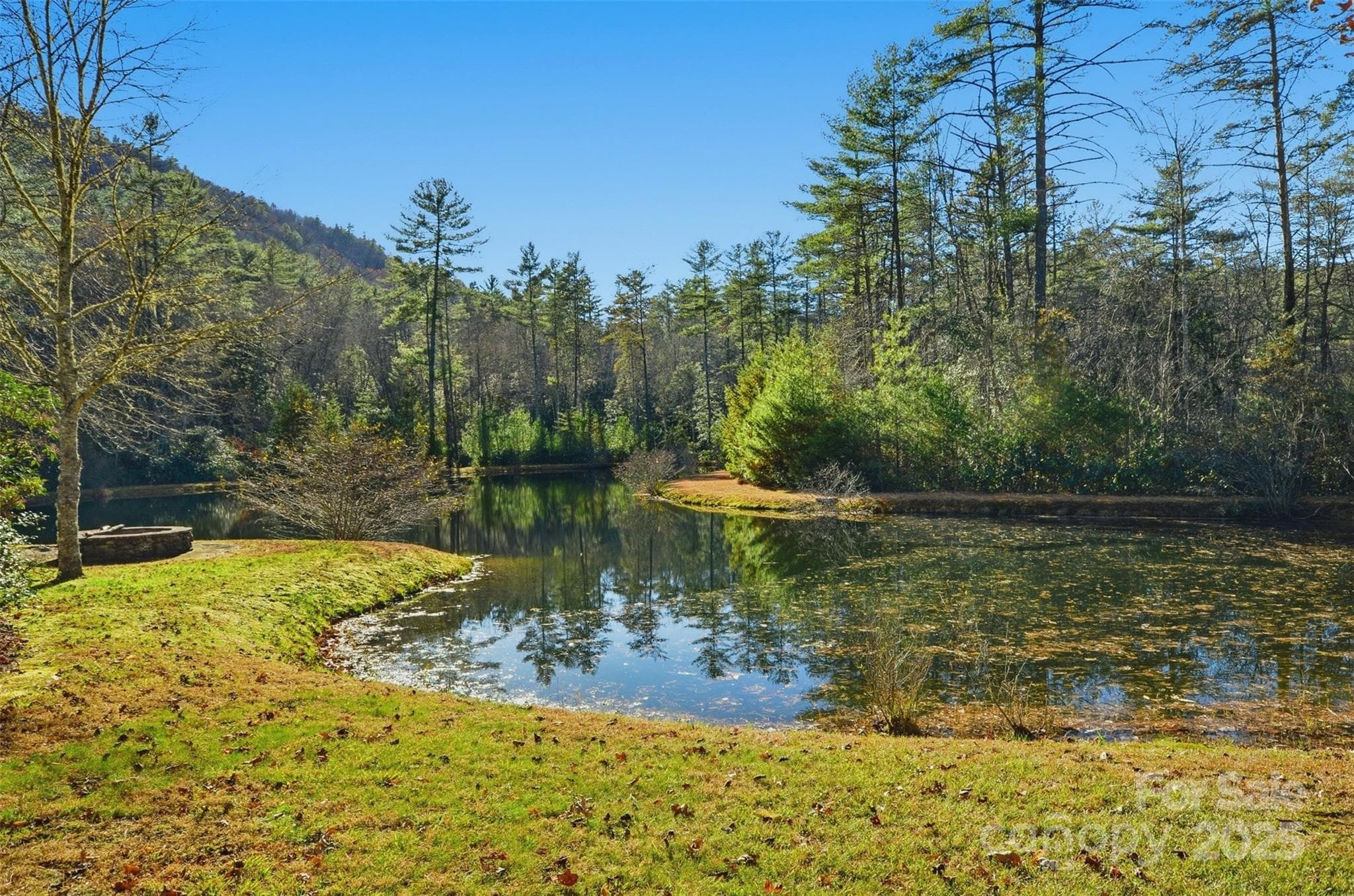 Lot at Lot 75 Peppervine Circle, Rosman, photo 18 of 28