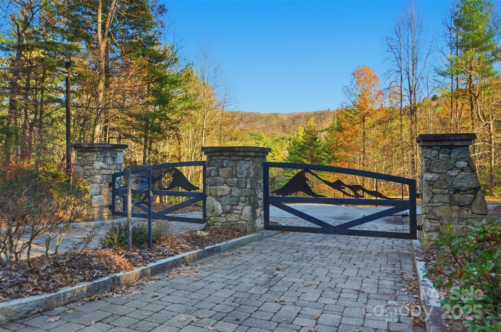 Lot at Lot 75 Peppervine Circle, Rosman, photo 28 of 28