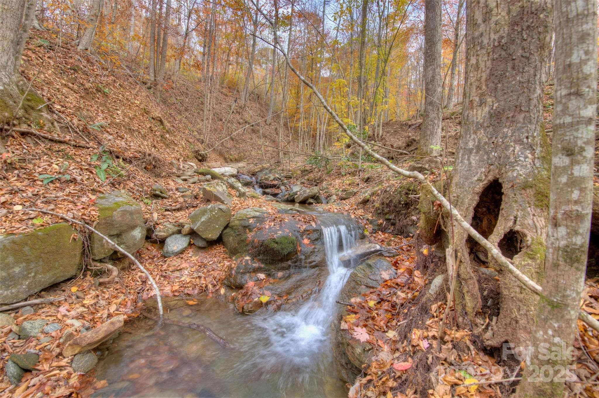 Lot at 0 Pebble Ridge Road, Spruce Pine, photo 2 of 26