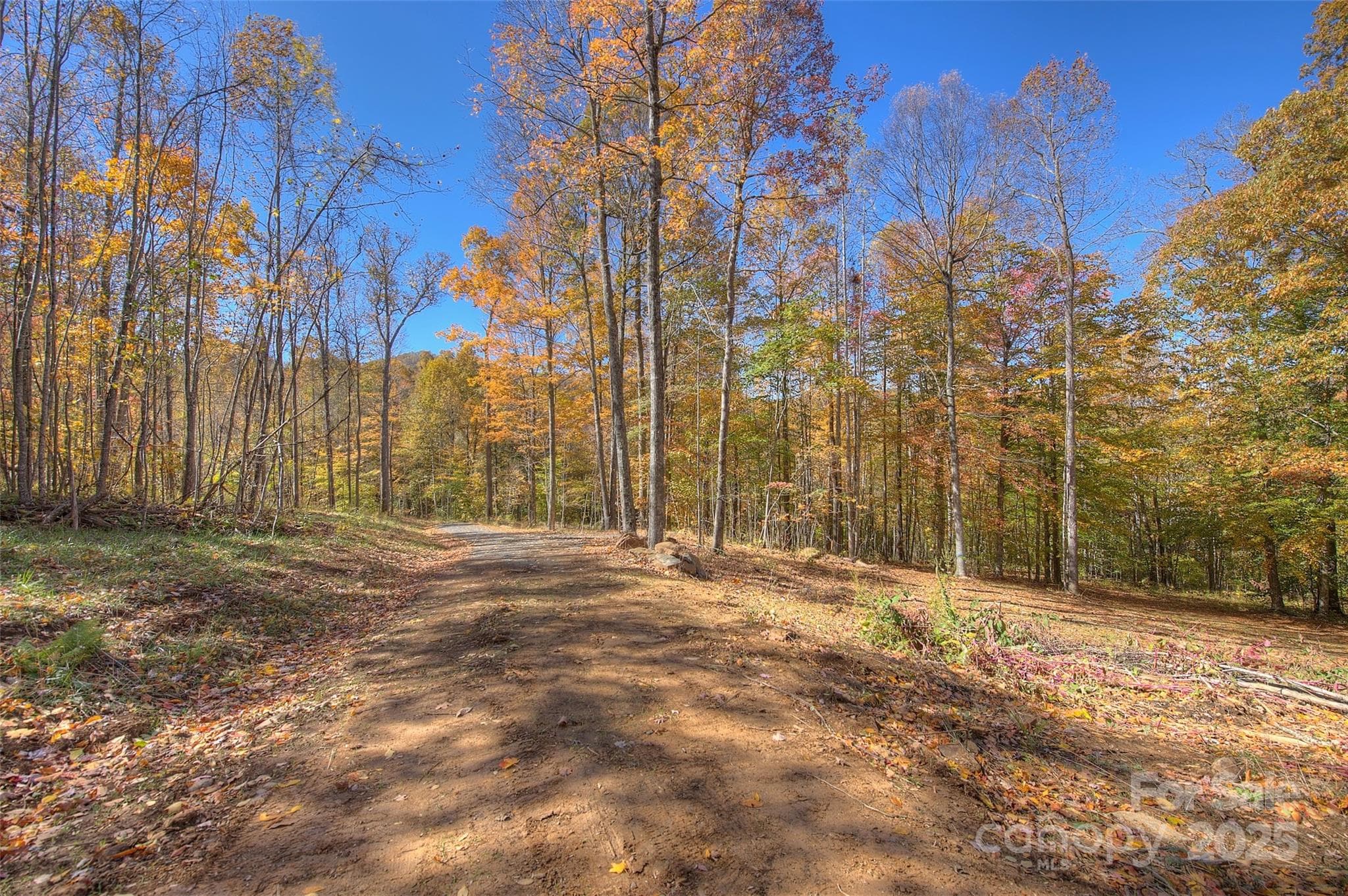 Lot at 0 Pebble Ridge Road, Spruce Pine, photo 3 of 26