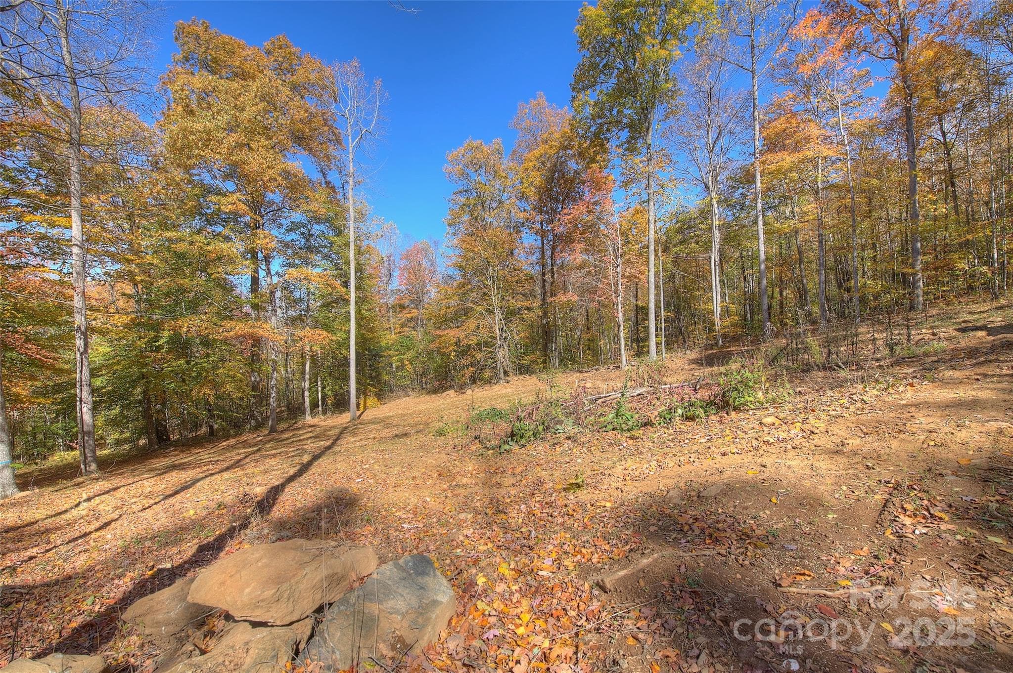 Lot at 0 Pebble Ridge Road, Spruce Pine, photo 4 of 26