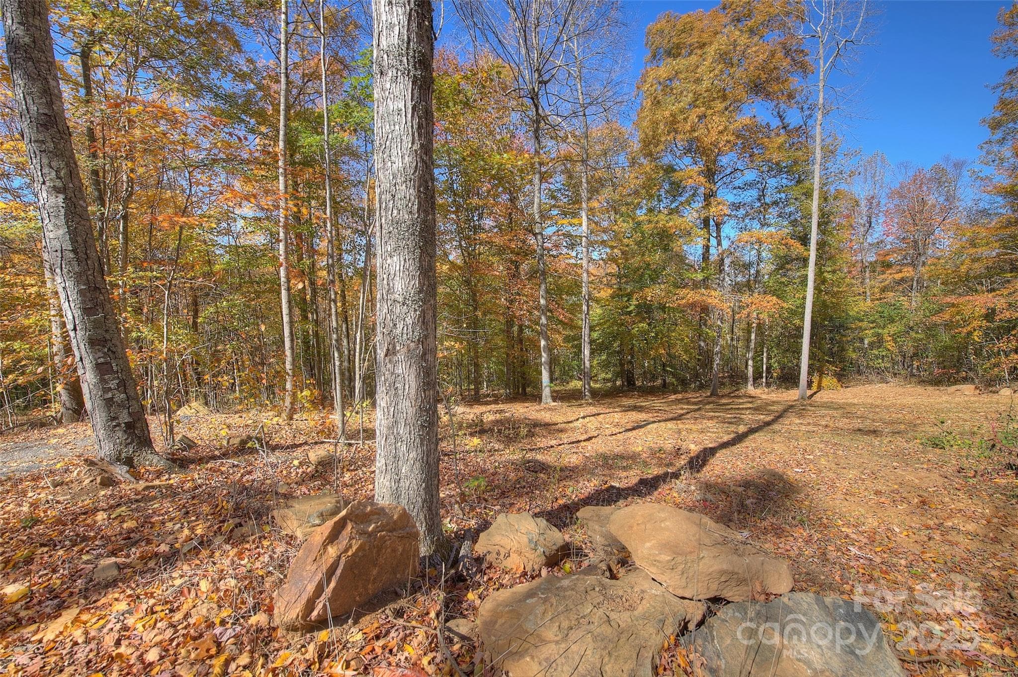 Lot at 0 Pebble Ridge Road, Spruce Pine, photo 5 of 26
